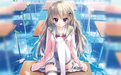 9-nine-九次九日九重色