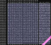 1758269578537.webp