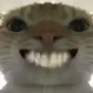 huayoudao