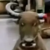 671193776