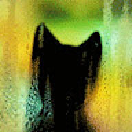theflyingcat