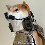 陈Warahead_c