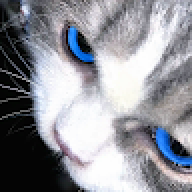 ki Ta
