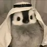 冥神不收冥b